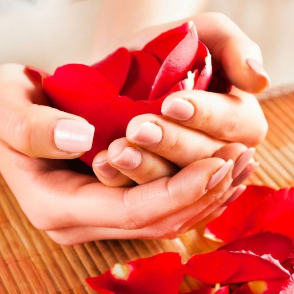 ¿Se Pueden Congelar los Pétalos de Rosa? Descubre Todo lo que Necesitas Saber