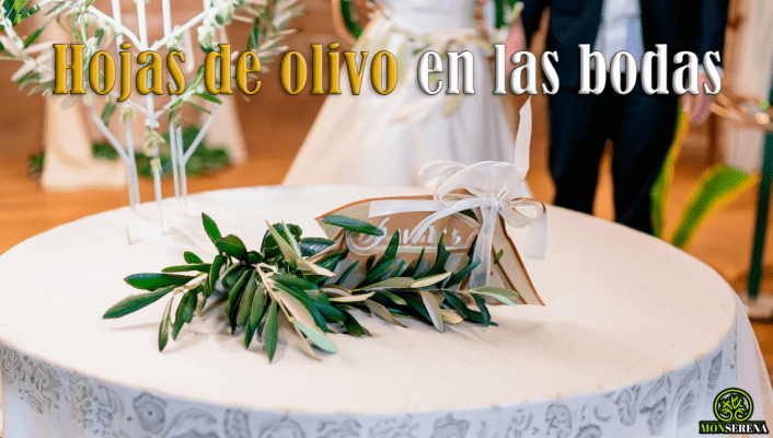 Tirar hojas de olivo en la boda: un gesto simbólico lleno de significado